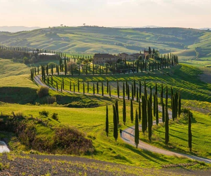 shutterstock_2230415385-1