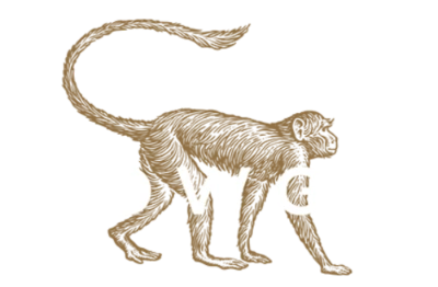 Mowgli Street Food