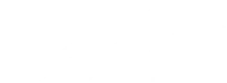 Google Gemini